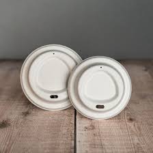 Bagasse
